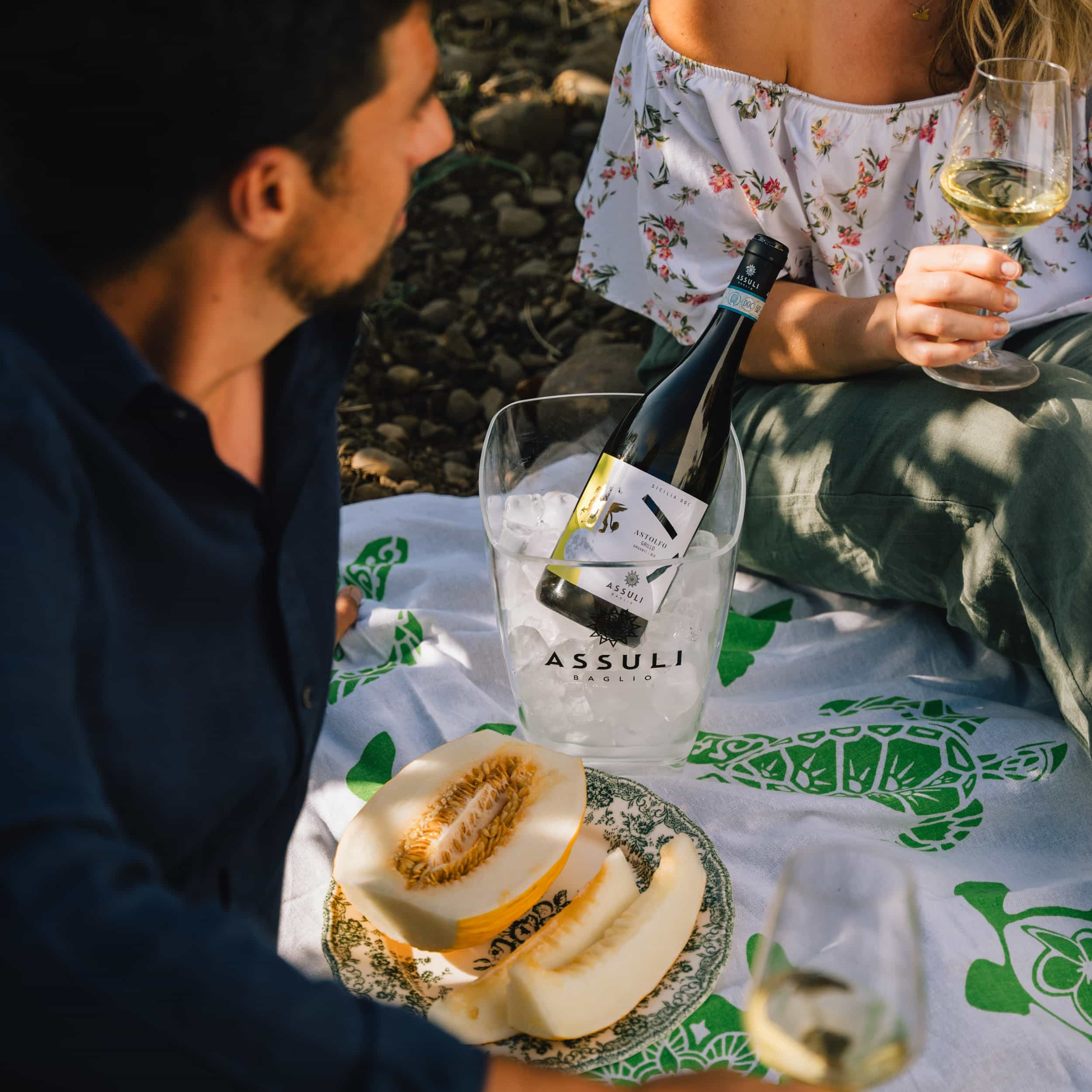 Two guys having a picnic with a white wine